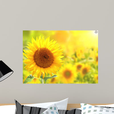 Bright Yellow Sunflowers shown on a wall