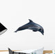 Dolphin White Illustration