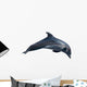 Dolphin White Illustration