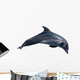 Dolphin White Illustration