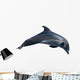 Dolphin White Illustration