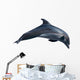 Dolphin White Illustration