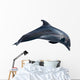 Dolphin White Illustration