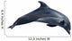Dolphin White Illustration