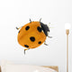 Illustration with Orange Seven Ponts Ladybug on White Wall Decal