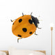 Illustration with Orange Seven Ponts Ladybug on White Wall Decal