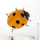 Illustration with Orange Seven Ponts Ladybug on White Wall Decal