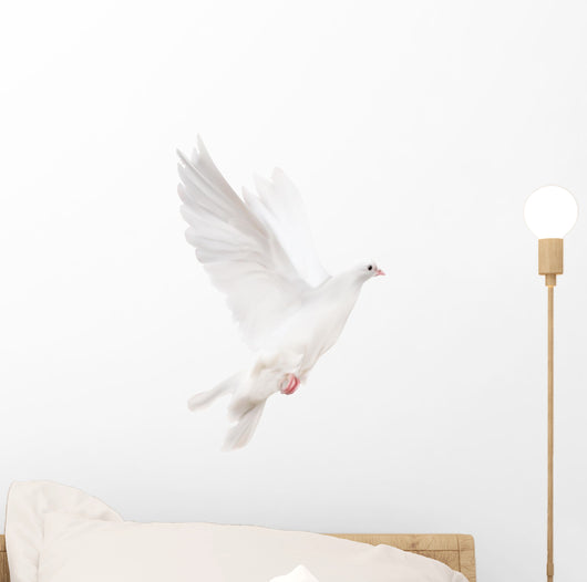 White Pigeon Illustration Wall Decal