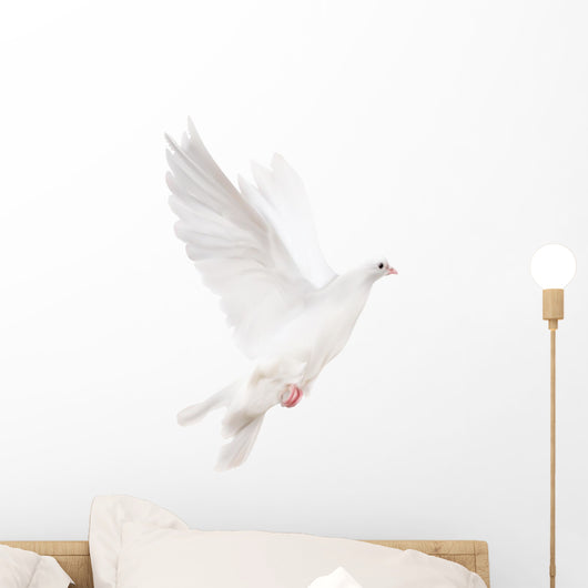 white isolated pigeon illustration Wall Decal