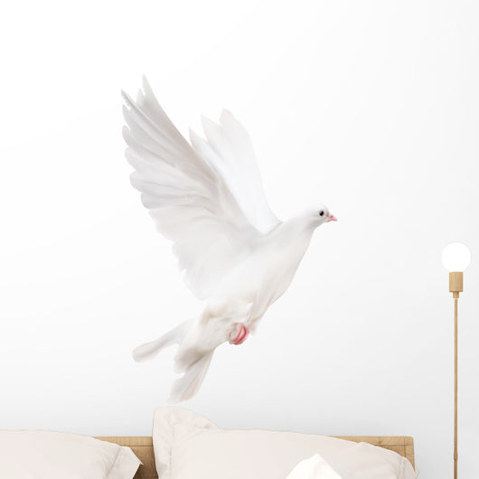 white isolated pigeon illustration Wall Decal