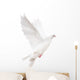 white isolated pigeon illustration Wall Decal