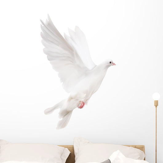 white isolated pigeon illustration Wall Decal
