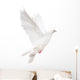 white isolated pigeon illustration Wall Decal