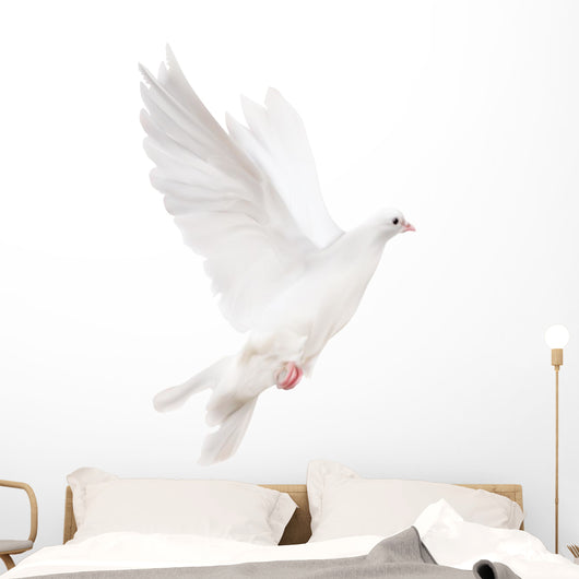 white isolated pigeon illustration Wall Decal