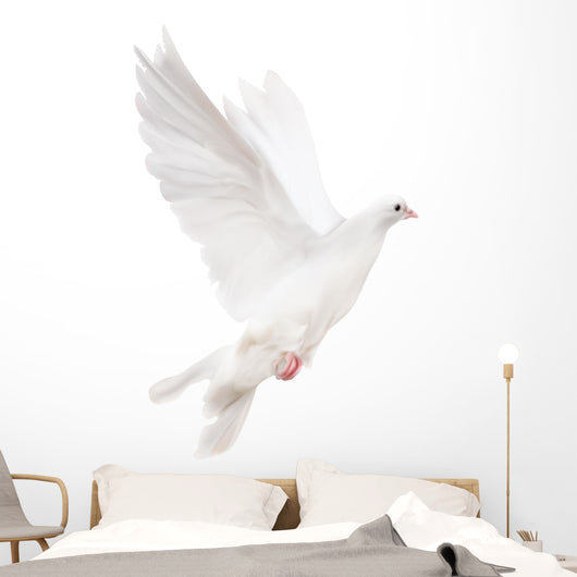white isolated pigeon illustration Wall Decal