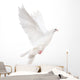 white isolated pigeon illustration Wall Decal