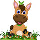 Cute Cartoon Horse Wall Decal