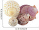 Shell Wall Decal