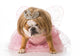 Naughty Princess Bulldog Wall Decal