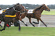 Harness Racing Trotting Wall Decal
