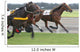 Harness Racing Trotting Wall Decal