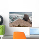 Australasian Gannet Colony New Wall Mural