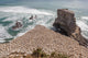 Australasian Gannet Colony New Wall Mural