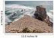 Australasian Gannet Colony New Wall Mural