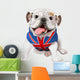 English Bulldog Wall Decal