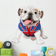 English Bulldog Wall Decal