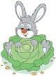 Bunny with a cabbage Wall Decal