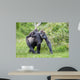 Gorilla and Her Boyfriend