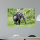 Gorilla and Her Boyfriend