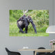 Gorilla and Her Boyfriend