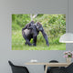 Gorilla and Her Boyfriend