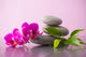 Spa Stones