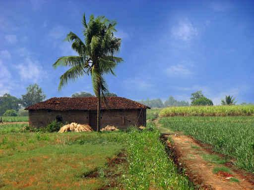 Farmhouse Path Wall Decal