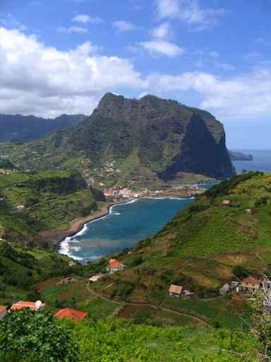Porto Da Cruz Wall Decal