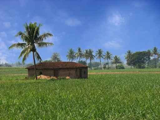 Farmhouse Tropics Wall Decal