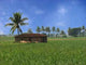 Farmhouse Tropics Wall Decal