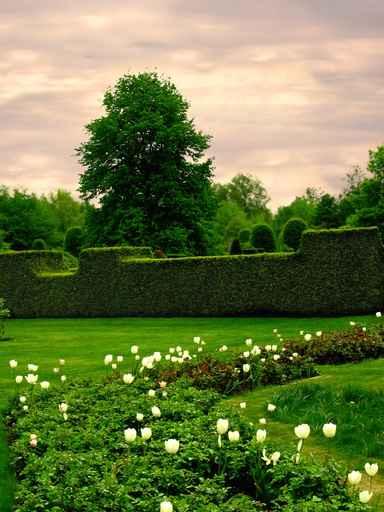 Garden Chamber Wall Decal
