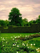 Garden Chamber Wall Decal
