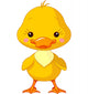 Farm animals. Duck Wall Decal