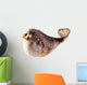 Puffer Fish Wall Decal