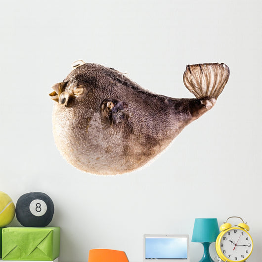 Puffer Fish Wall Decal