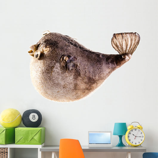 Puffer Fish Wall Decal
