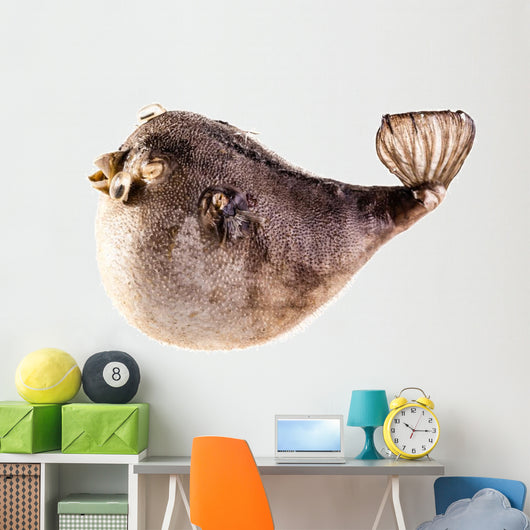 Puffer Fish Wall Decal