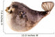 Puffer Fish Wall Decal