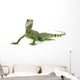 Chinese Water Dragon Wall Decal
