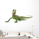 Chinese Water Dragon Wall Decal